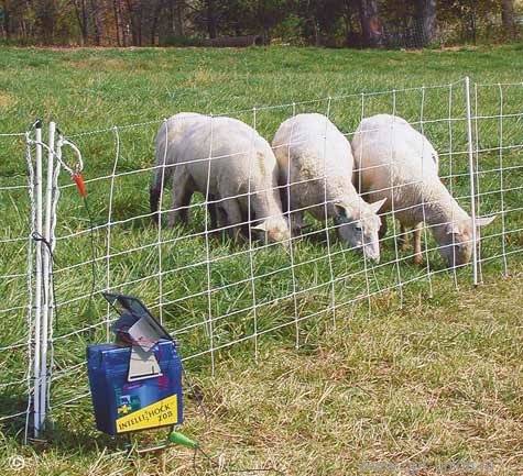 Электропастух своими руками для овец, коров, коз: схема из катушки зажигания - как сделать в домашних условиях электроудочку, электроизгородь из высоковольтного генератора