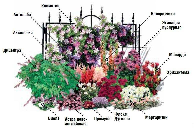 Красивые клумбы из многолетников - правильный выбор цветов и растений для цветения круглый год