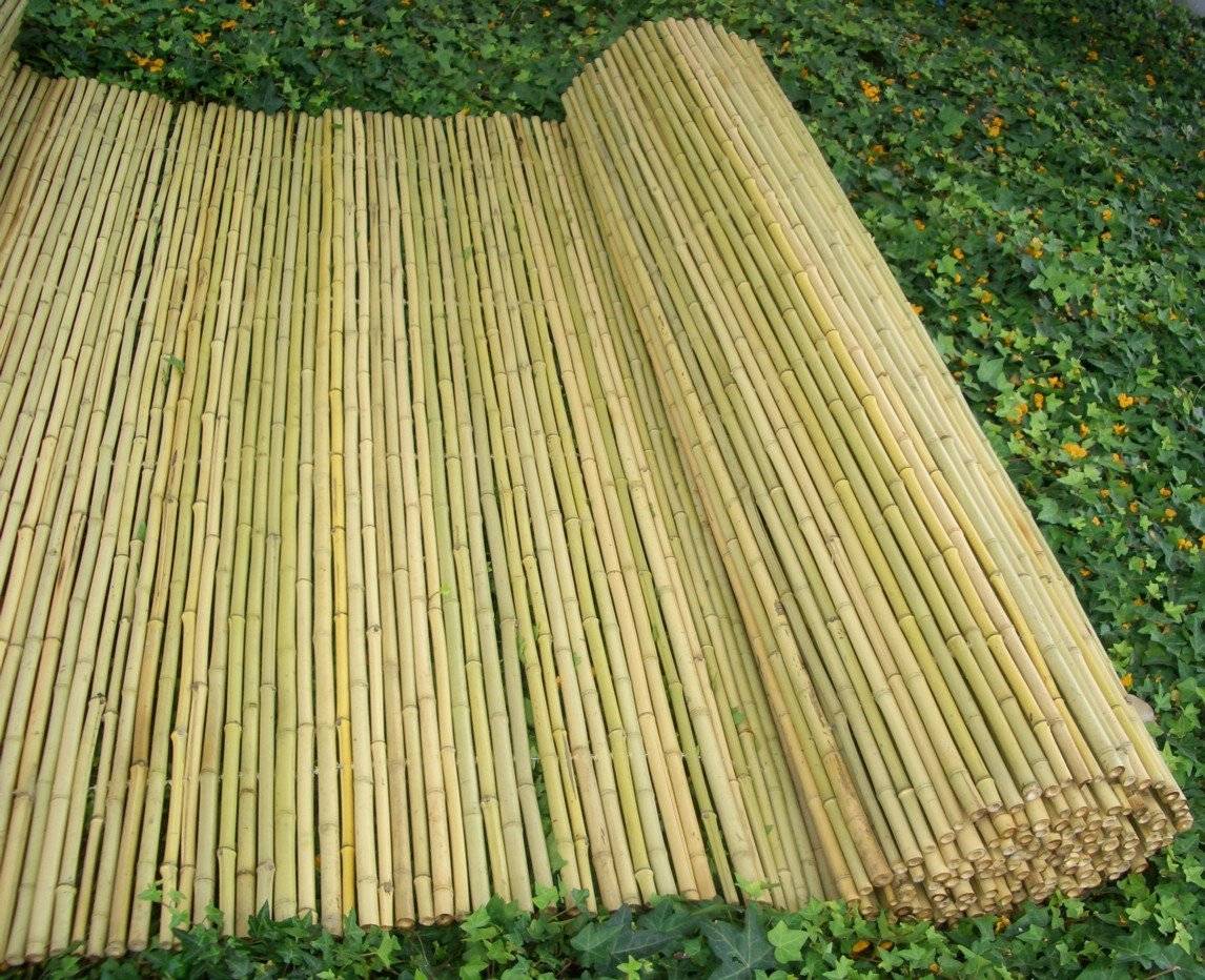 Забор из бамбука своими руками - изготовление бамбукового забора | стройсоветы