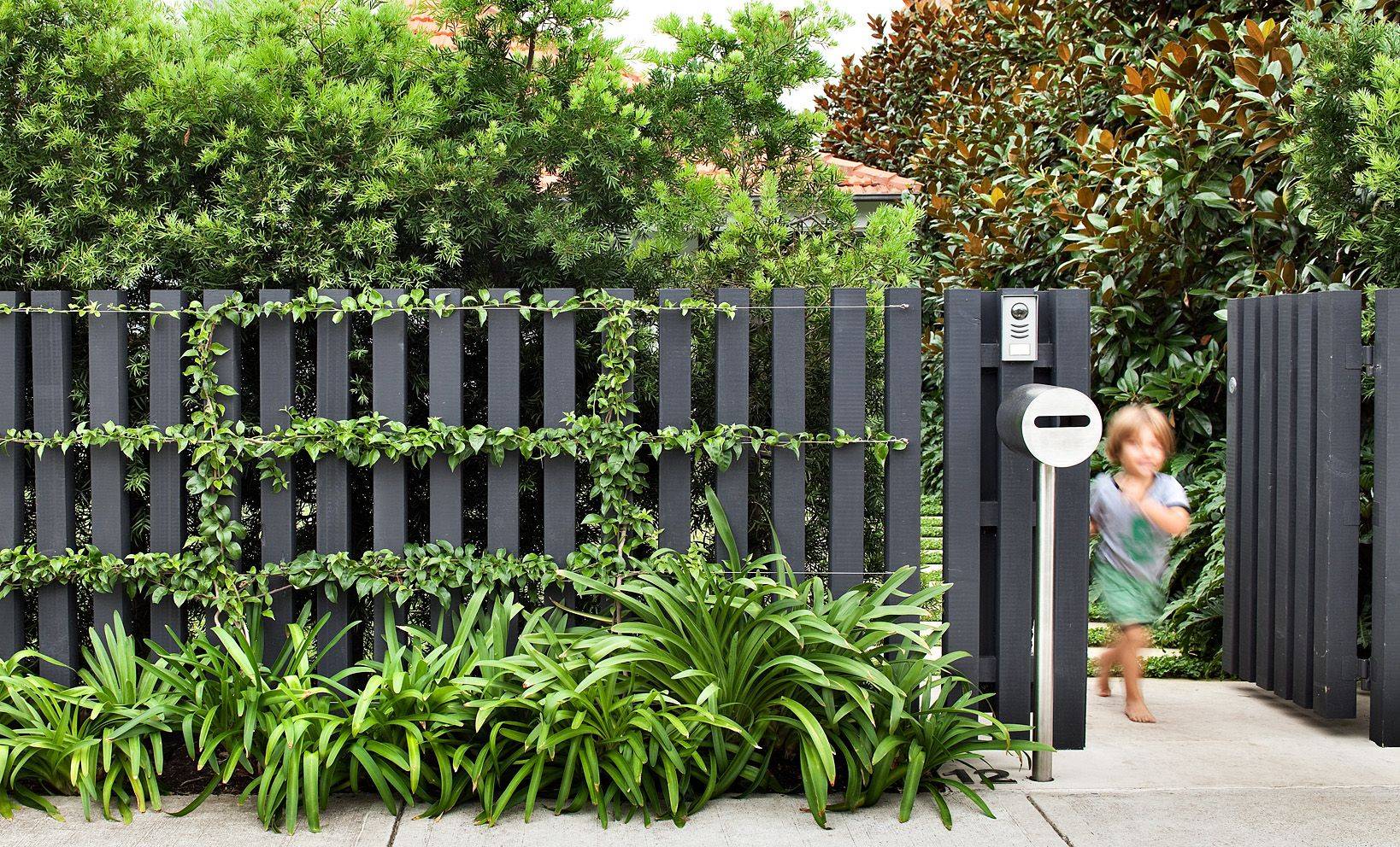Красивый забор для частного дома: интересные идеи, современные решения - сочный клуб