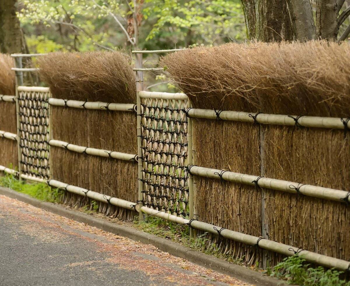 Декоративный забор своими руками для дачи из дерева: фото и монтаж из подручных материалов