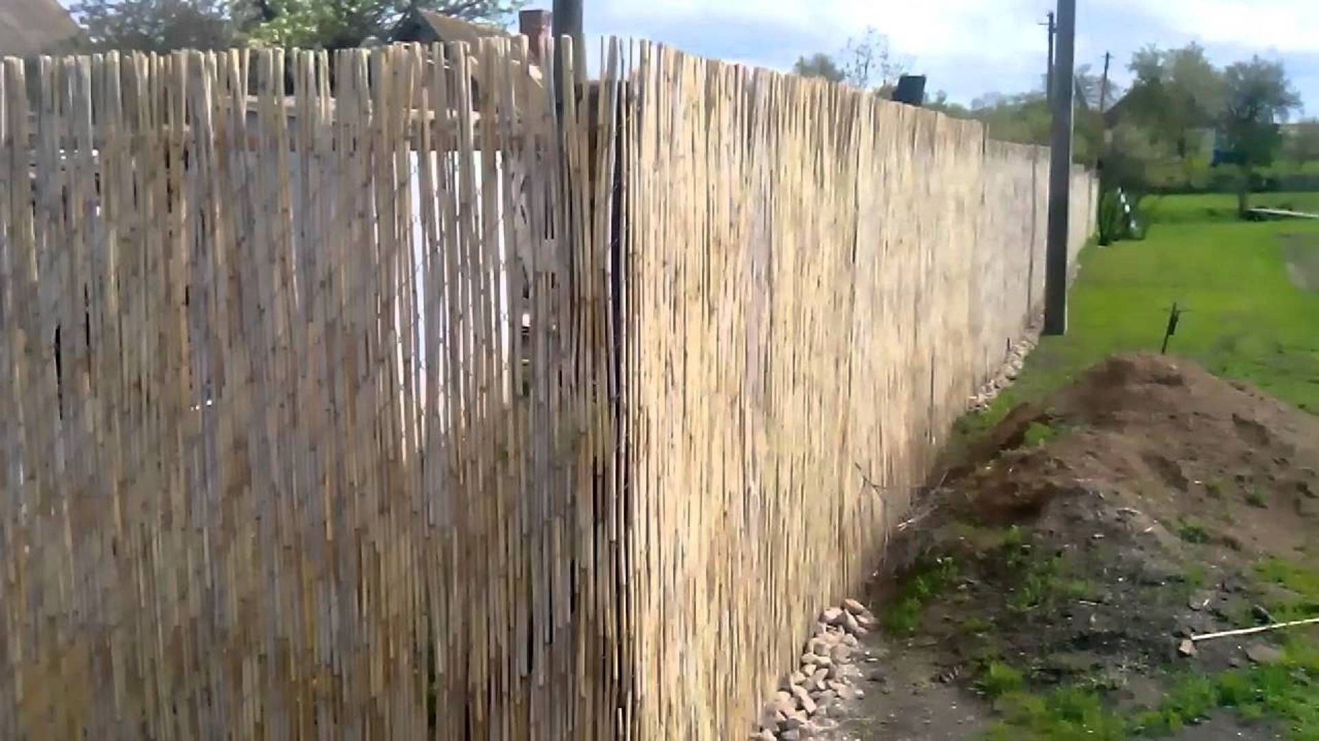 Делаем забор из камыша своими руками из подручных материалов