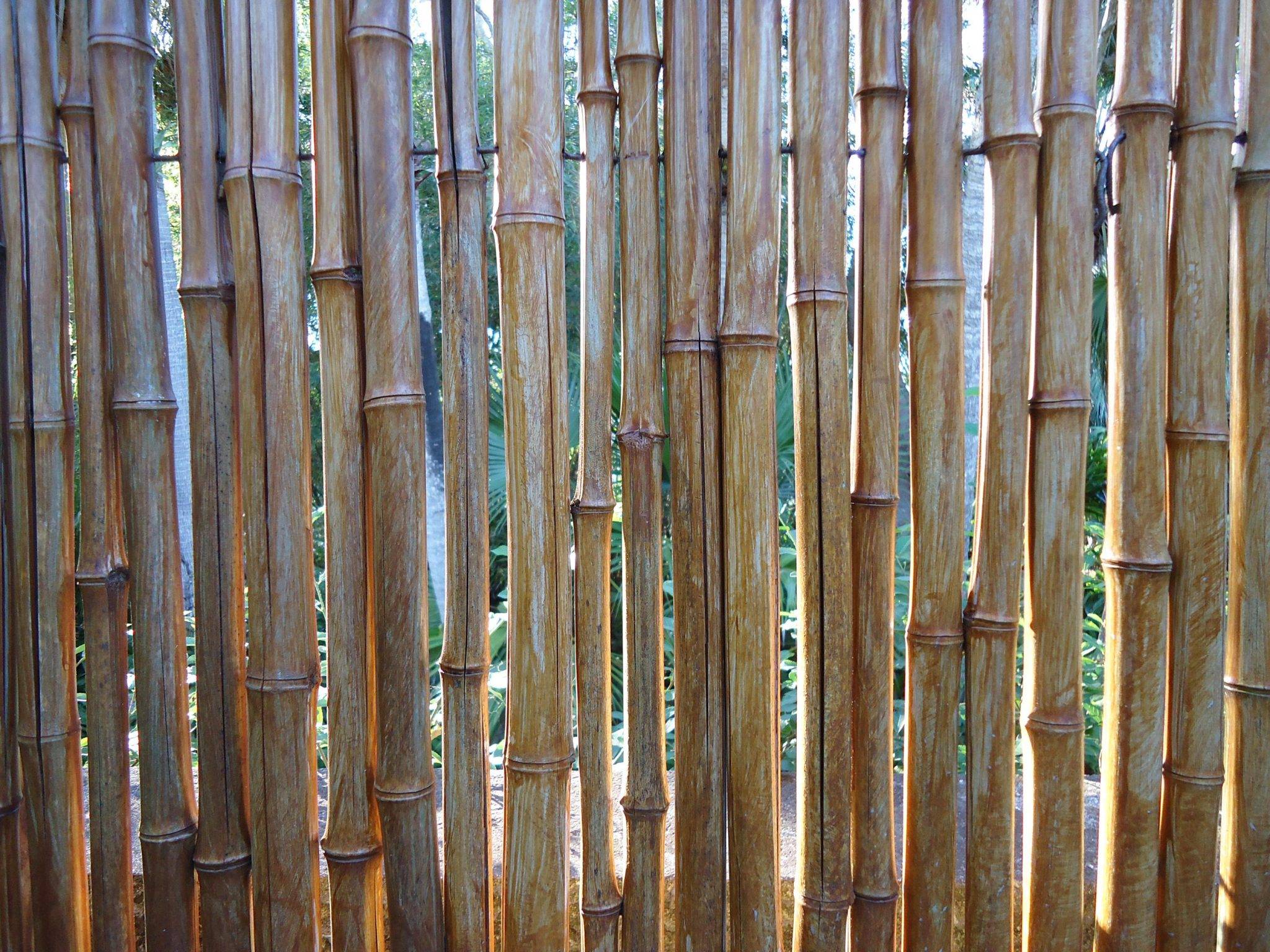 Как сделать забор из бамбука: фото и видео инструкция возведения
