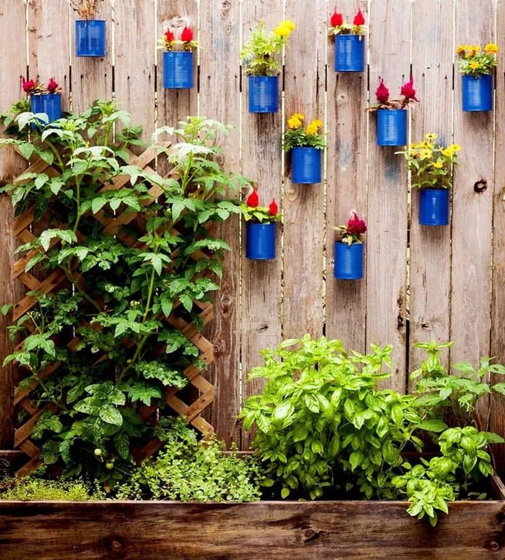 Живая изгородь: 10 лучших идей из чего сделать живую изгородь на даче