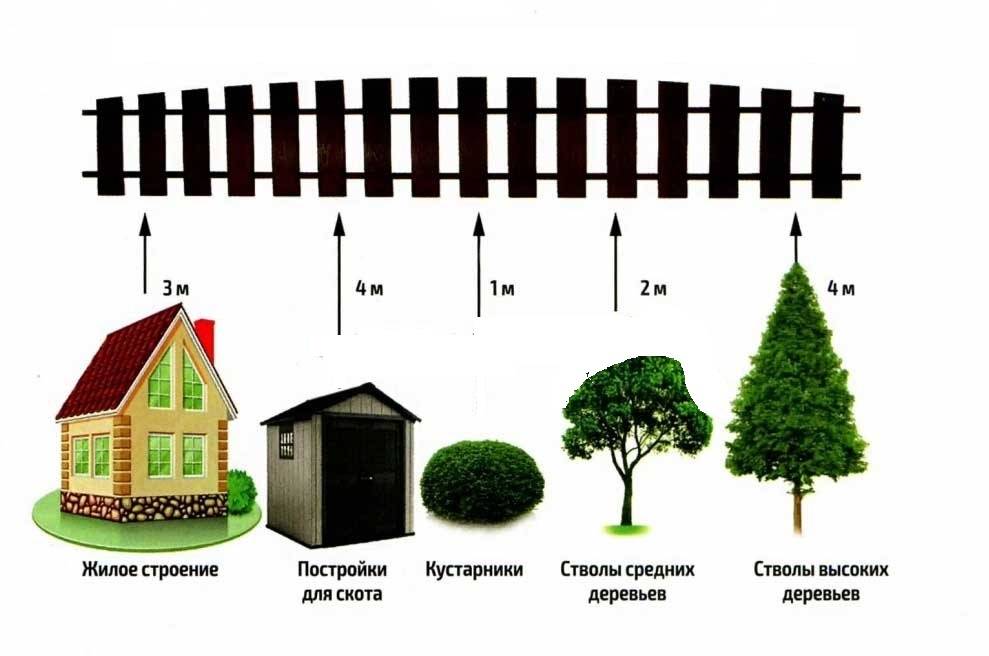 На каком расстоянии сажать деревья от забора соседнего участка: нормативы