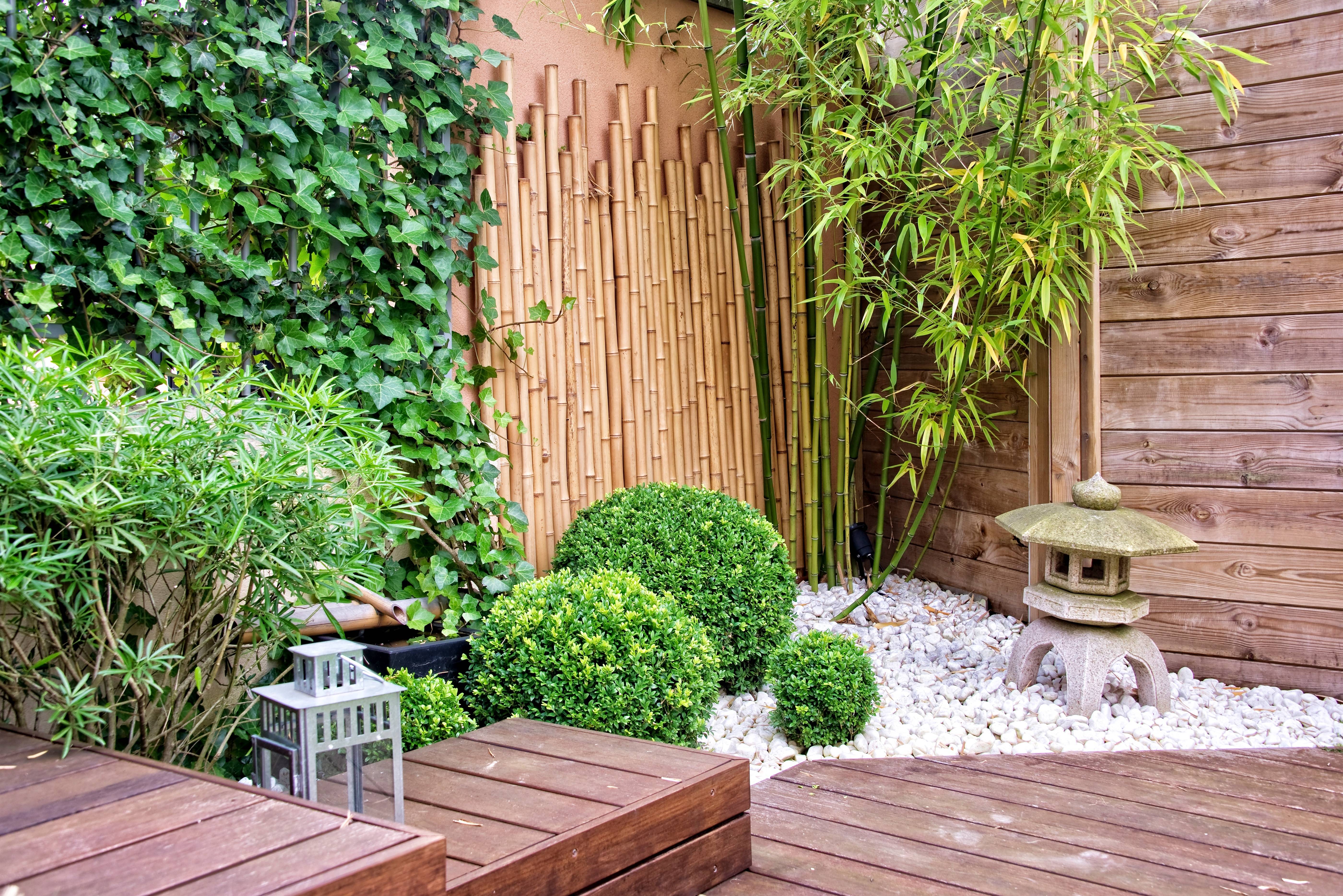 Бамбуковый забор — особенности и специфика ограждения, порядок изготовления, полезные советы