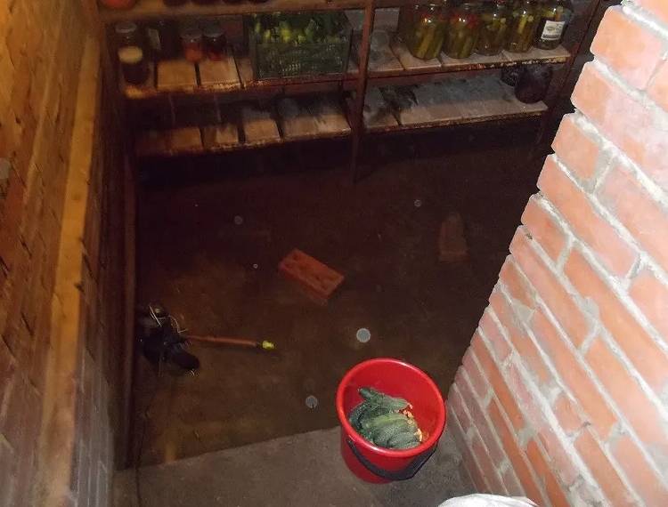 Причины появления воды в подвале гаража, что делать и как избавиться