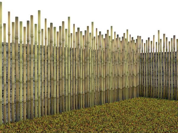 Забор из бамбука (рулонный) своими руками