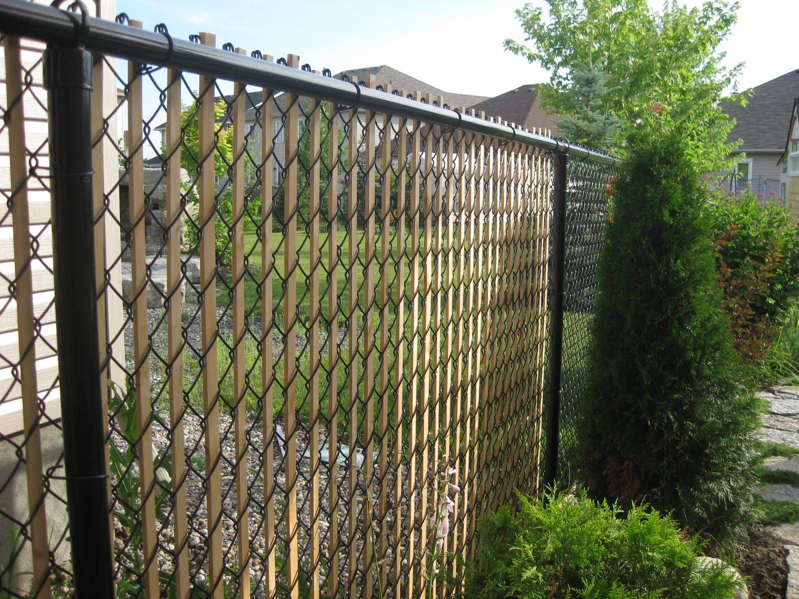 Чем можно закрыть забор из сетки рабицы от соседей: непрозрачный низ