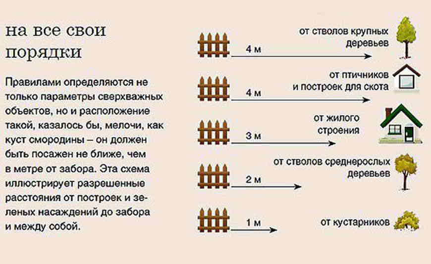 Хозяйственная постройка: разрешение, технические нормы :: businessman.ru