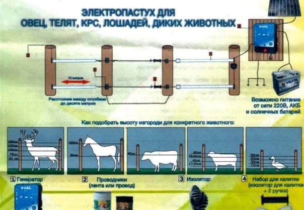 Электроизгороди для овец и крупно-рогатого скота