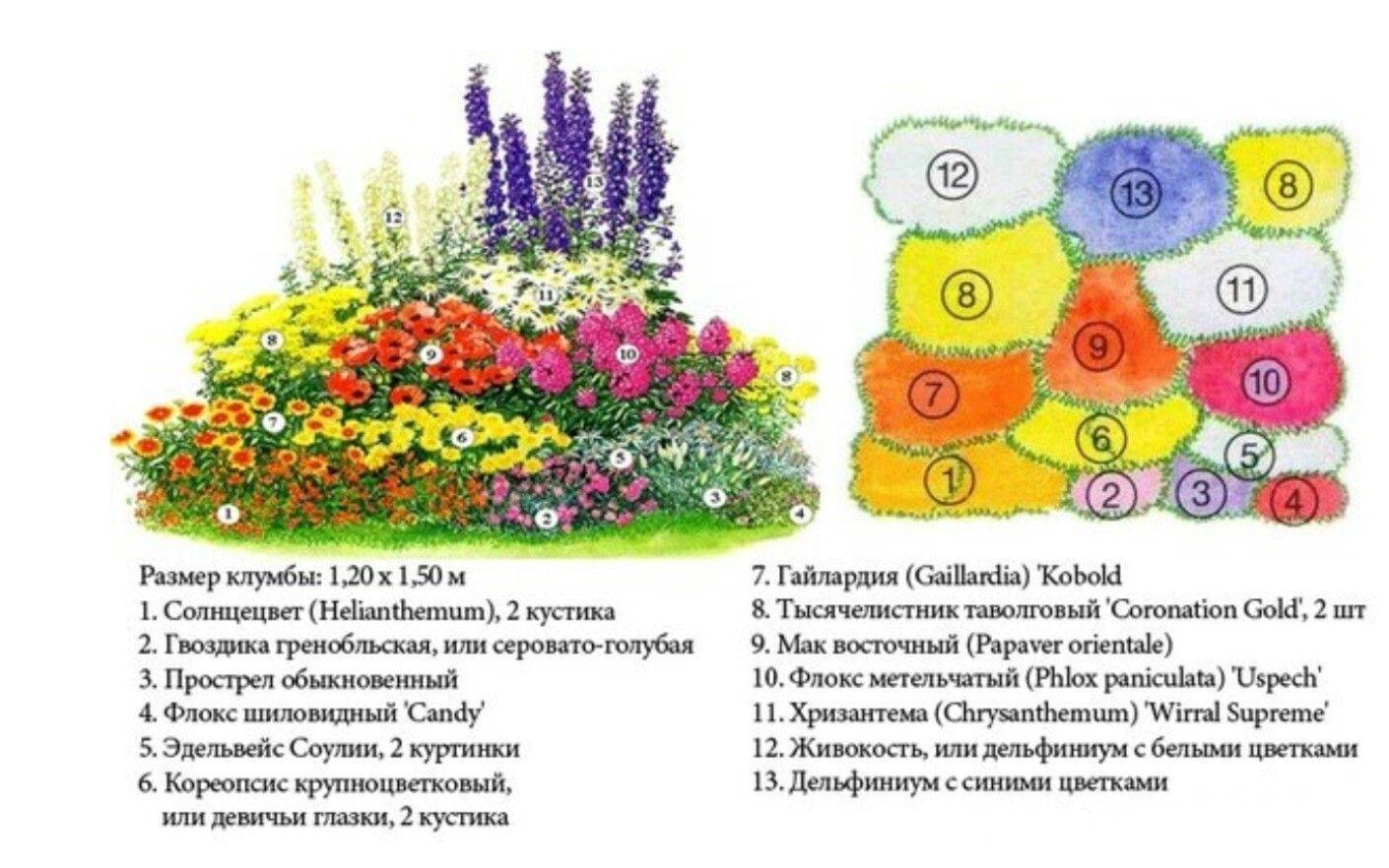 Миксбордер – пошаговое руководство по созданию цветника с примерами