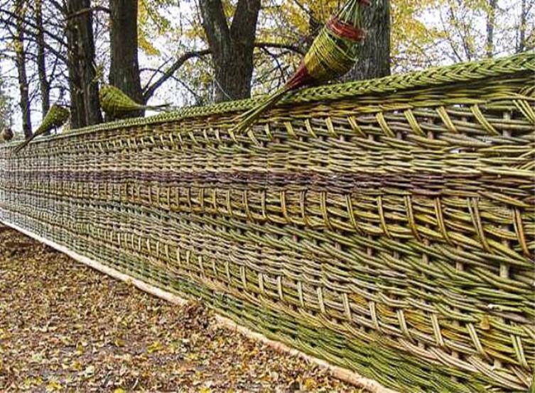 Плетеный забор — современное искусство ограждения участка
