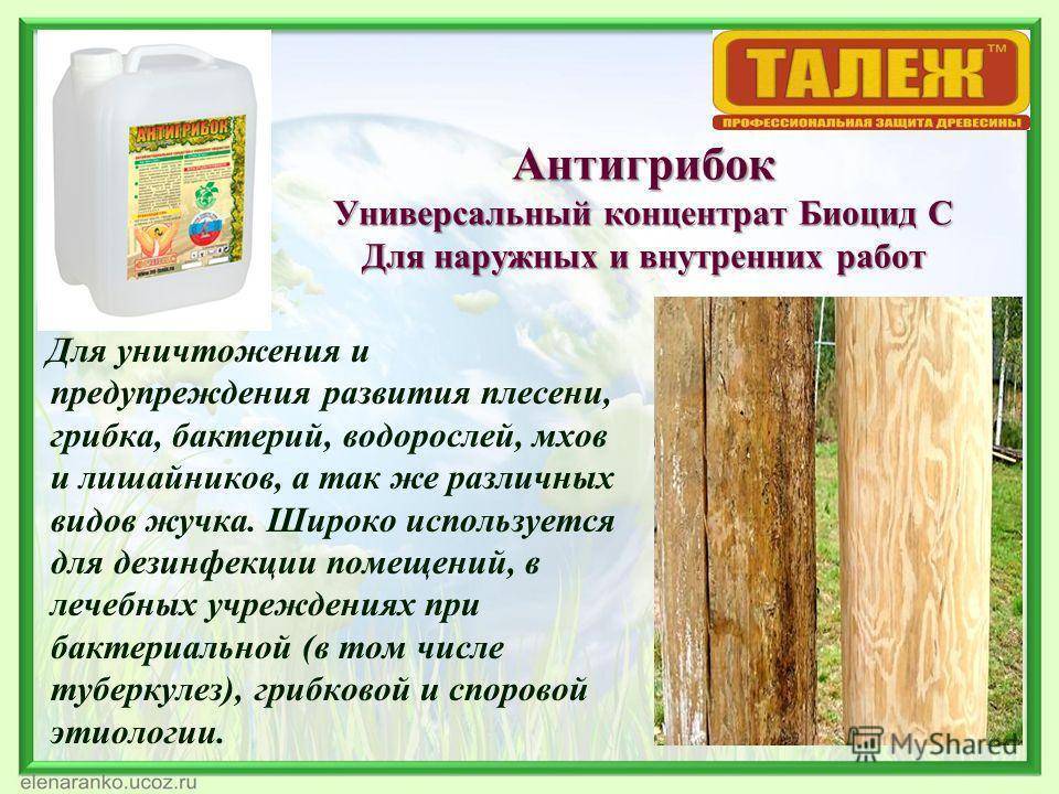 Лучшая защита древесины от влаги и гниения :: syl.ru