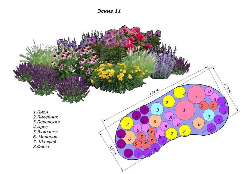 Схемы красивых клумб непрерывного цветения из многолетников