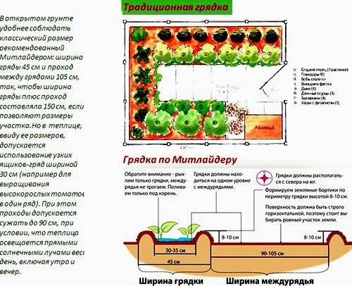 Метод митлайдера: земледелие и овощеводство в русском варианте