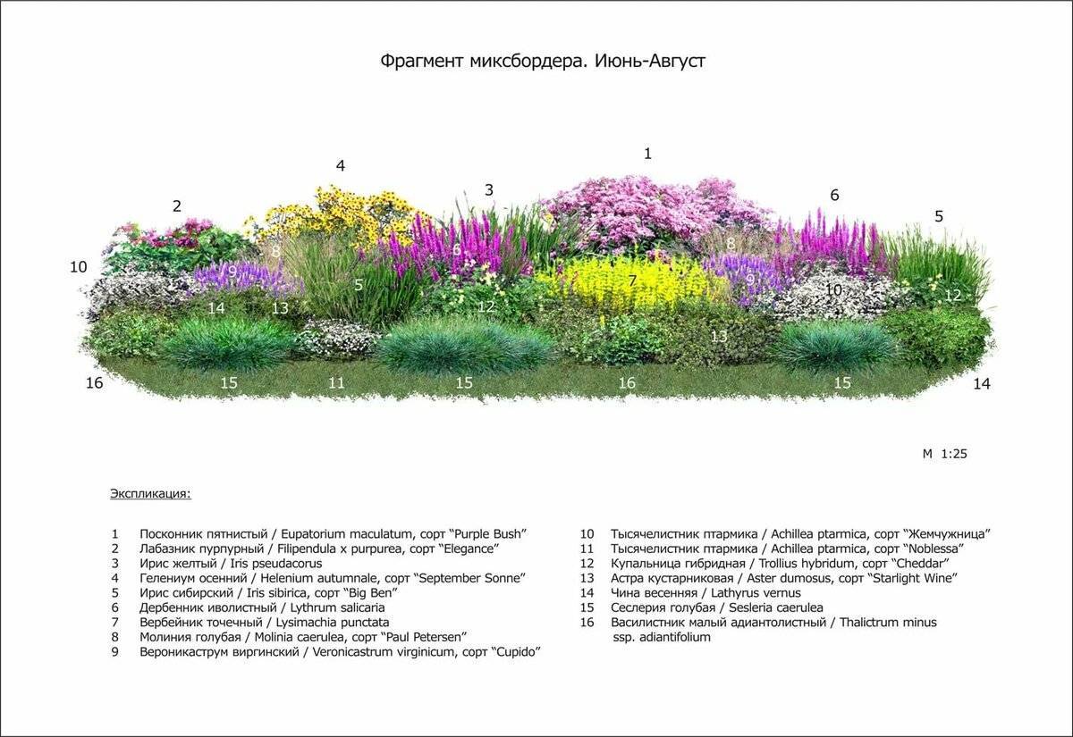 Миксбордер своими руками (схемы, фото и примеры в ландшафтном дизайне) + подбор растений и рекомендации по уходу