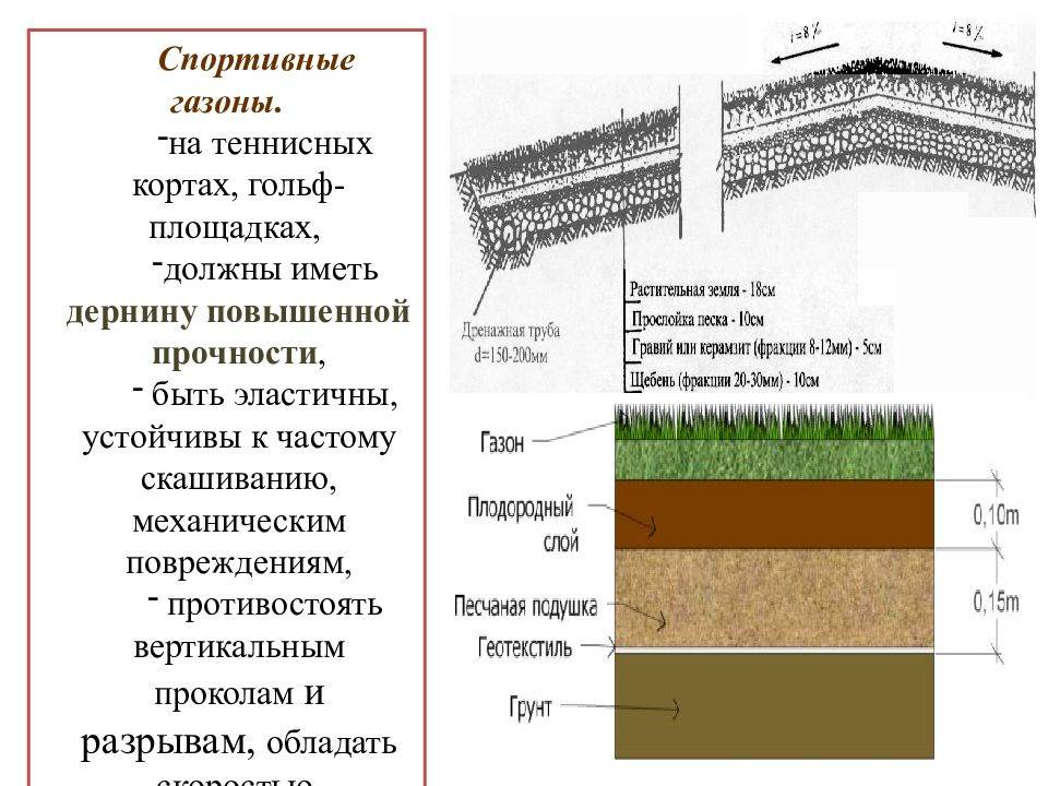 Устройство газона схема