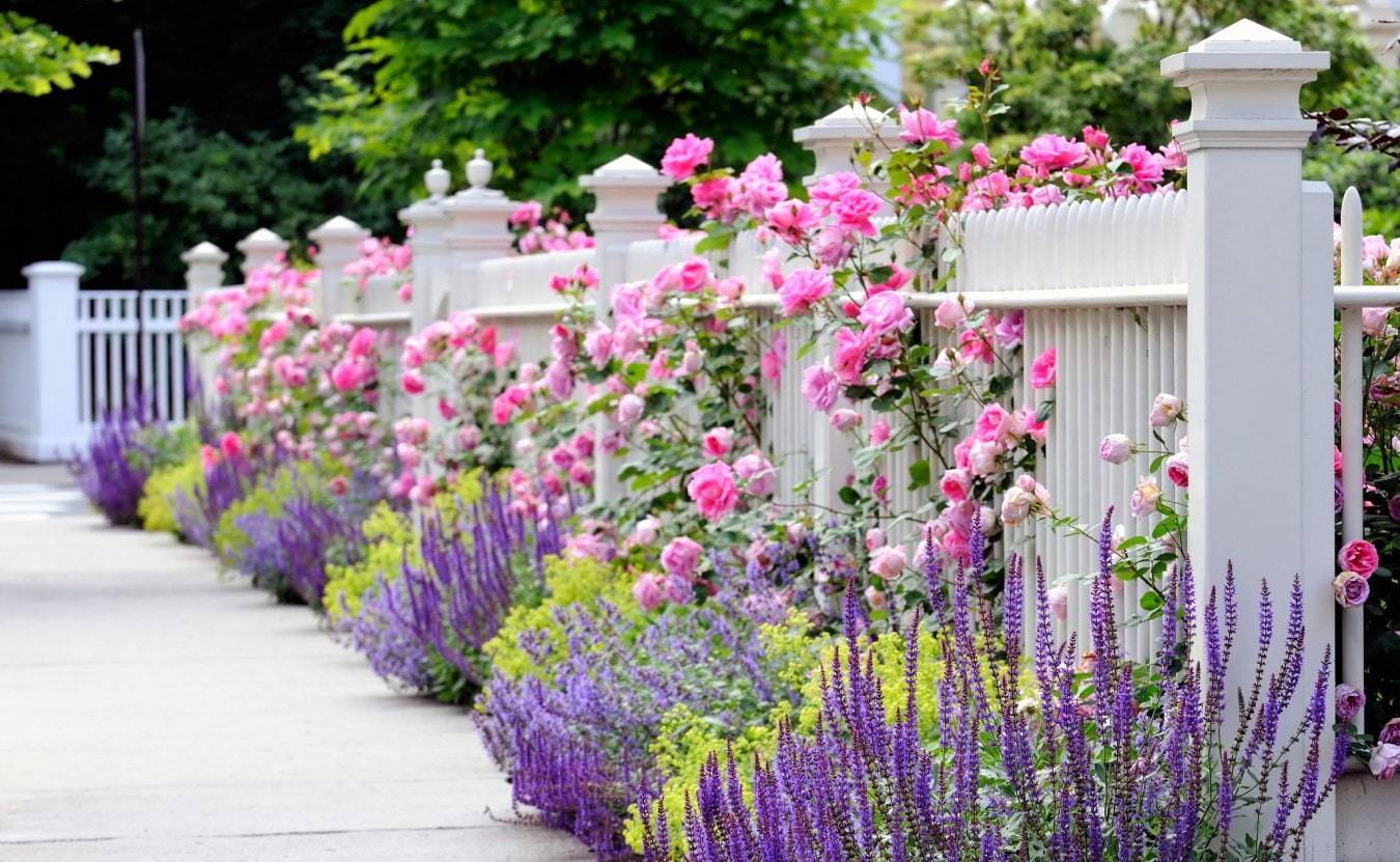 Романтический сад в стиле прованс - 36 фото ландшафтного дизайна в манере французского кантри