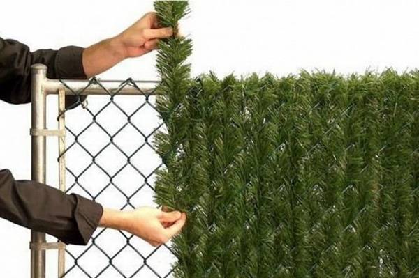 Забор из сетки рабицы чем закрыть. как сделать забор из сетки непросматриваемым и не поссориться с соседями по даче: самые простые и бюджетные варианты