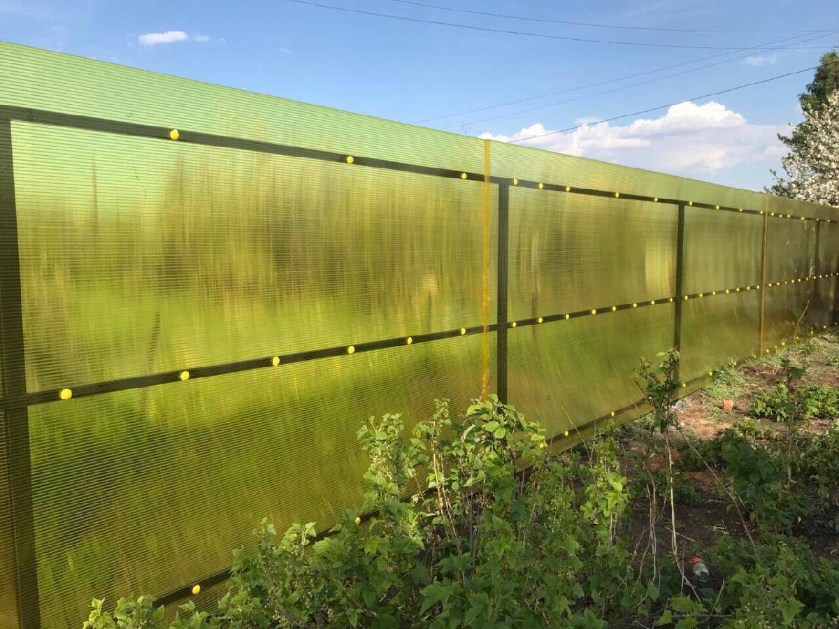 Забор из поликарбоната своими руками: фото, видео инструкция