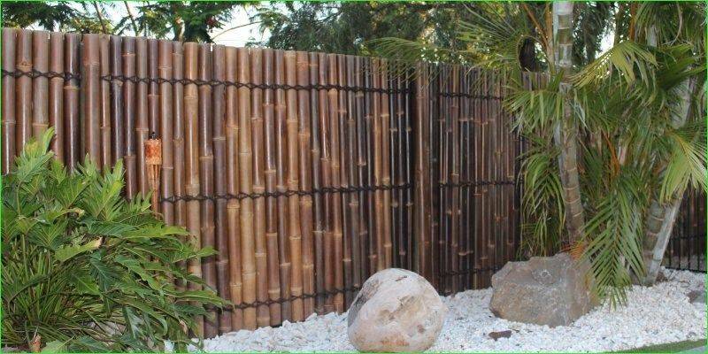 Бамбуковый забор — особенности и специфика ограждения, порядок изготовления, полезные советы