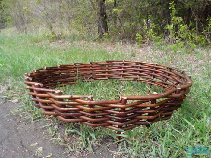 Живая изгородь из ивы: как сделать ивовый забор, подходящие сорта, плетение