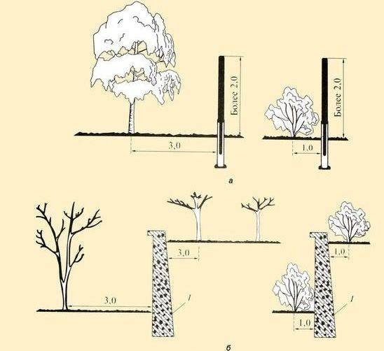 Между забором и деревом должно быть несколько метров
