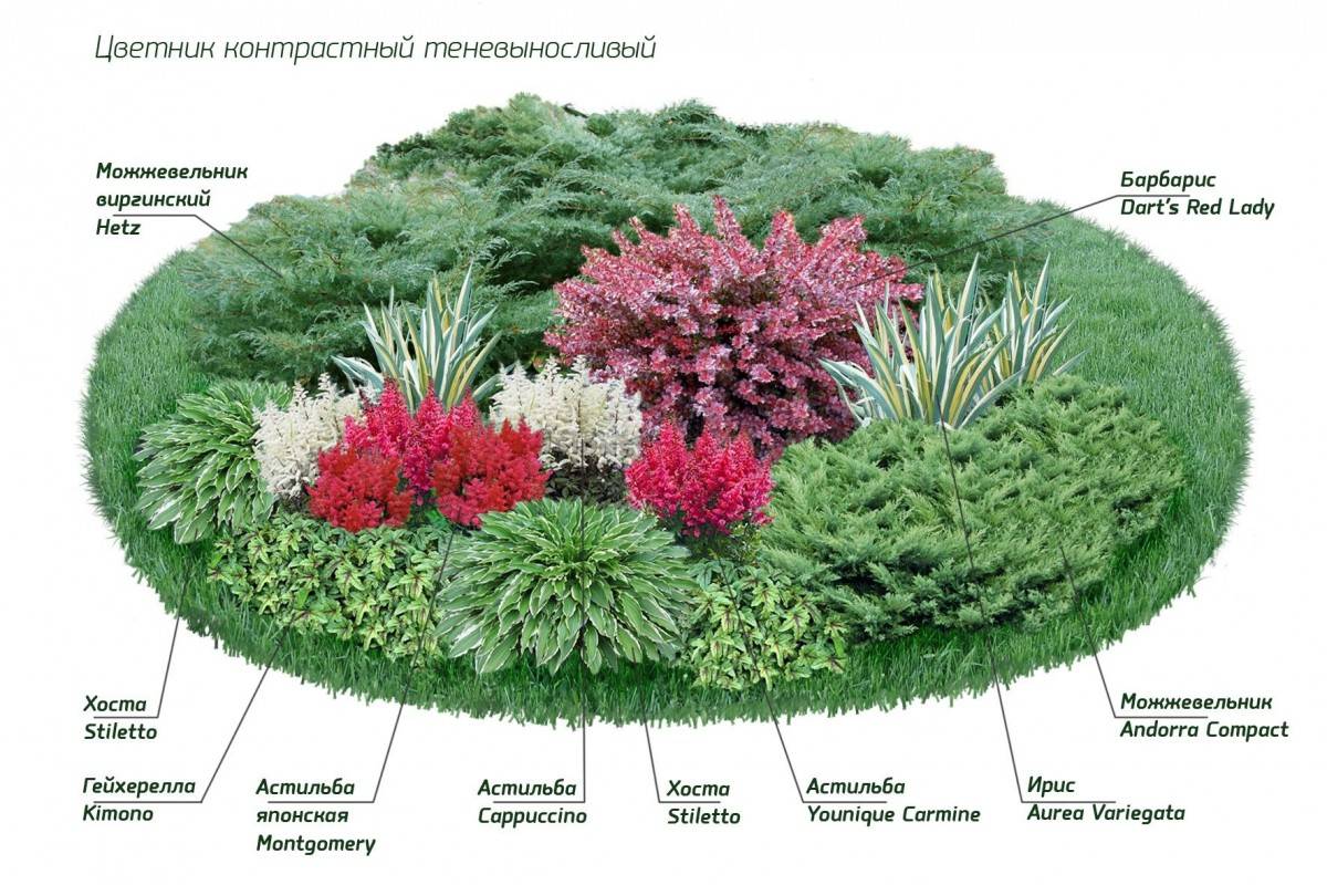 Миксбордер (76 фото): что это такое, схемы посадки многолетников в ландшафтном дизайне, подбор растений своими руками