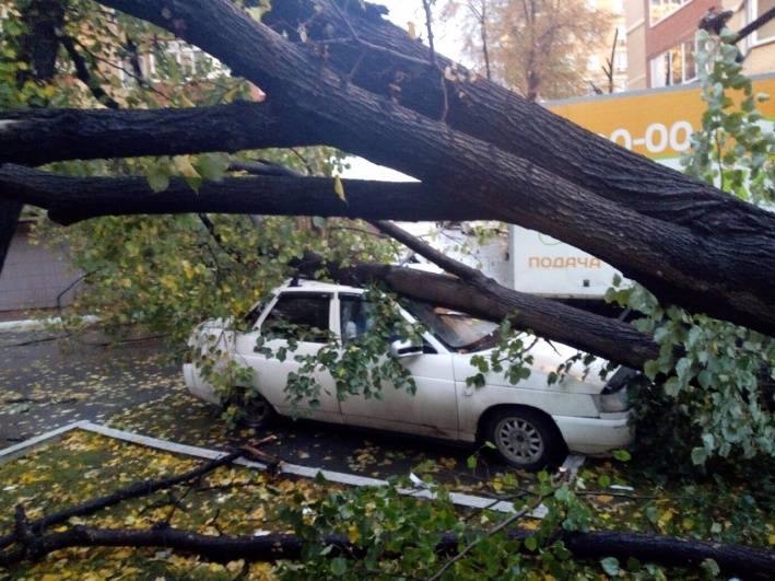 Дерево упало на машину. куда обращаться? кто возместит ущерб?