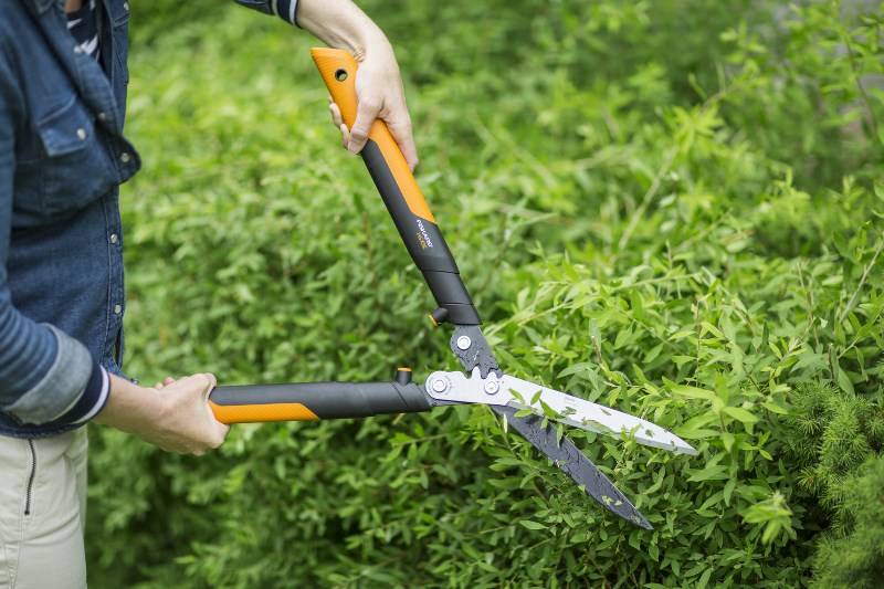 Разновидности садовых ножниц для резки кустов и травы