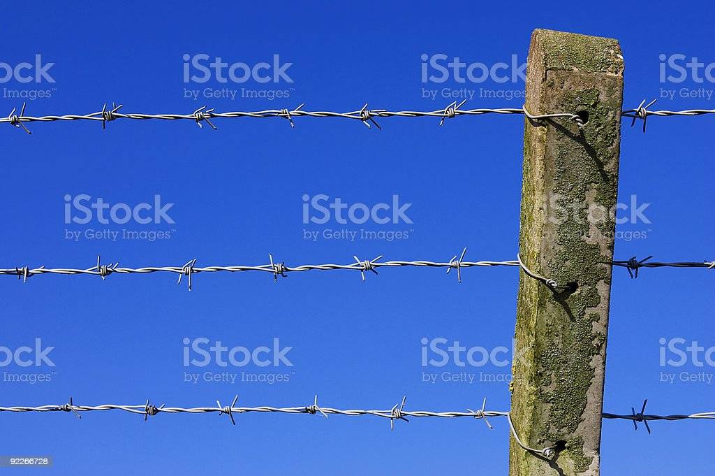 Монтаж егозы на заборе инструкция
