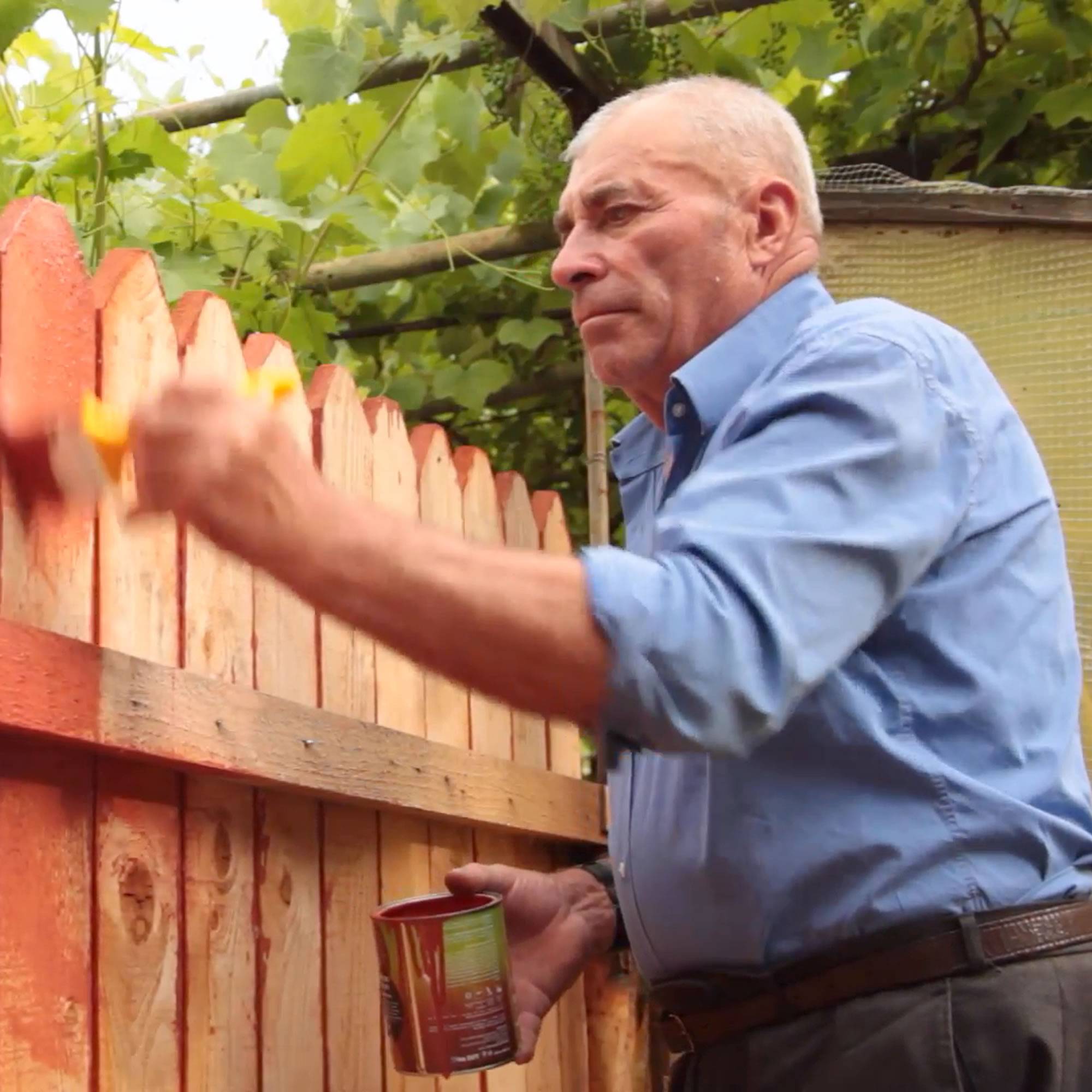Чем покрасить деревянный забор: виды материалов и способы их нанесения