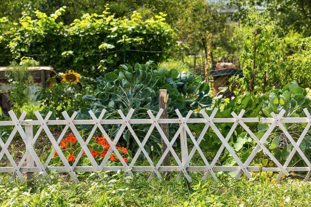 Декоративный забор для сада: виды, фото, изготовление, установка