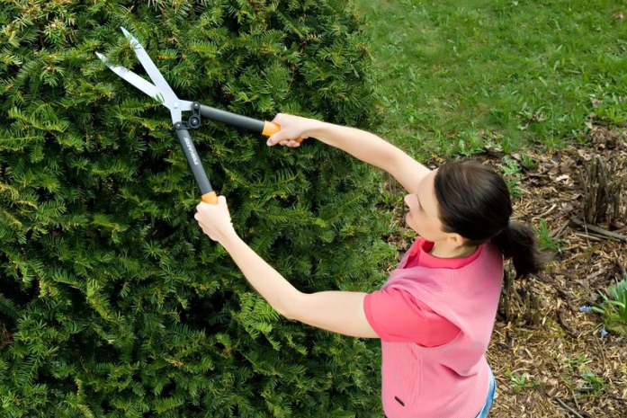 Садовые ножницы для кустов - как выбрать хороший инструмент, обзор лучших моделей | сад и куст