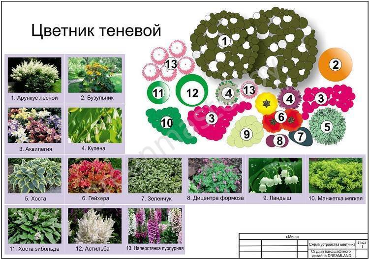 Какие цветы посадить в миксбордер: фото, названия, описание видов и сортов растений