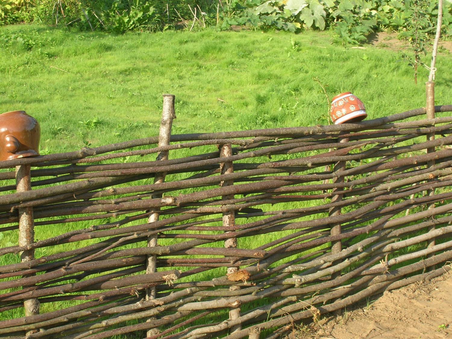 Плетеный забор из веток ивы, орешника или досок, сделанный своими руками для дачи