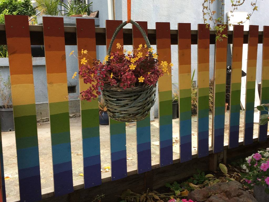 Как покрасить забор из сетки рабицы, штакетника: инструкция, какую выбрать краску (видео и фото)