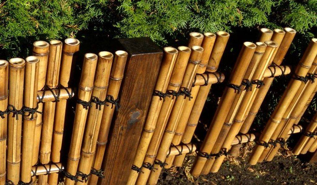 Заборы из бамбука и тростника