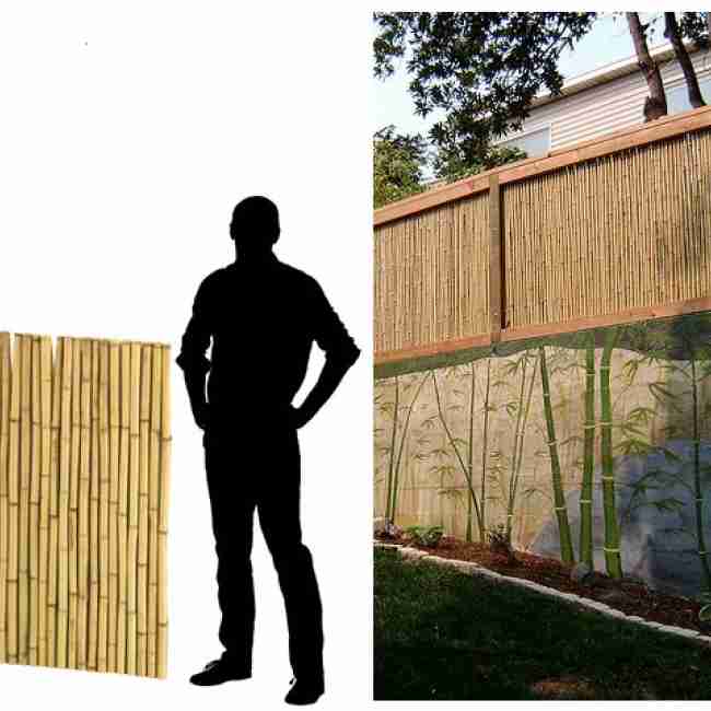 Бамбуковые панели. характеристика материала и особенности монтажа. виды бамбуковых панелей. инструкция монтажа. узнайте!