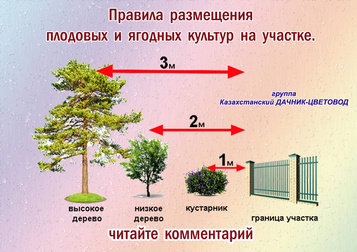 Расстояние от дерева до забора с соседом: на каком можно сажать, нормы посадки кустарников по снип и закону, сколько метров отступать по санпин