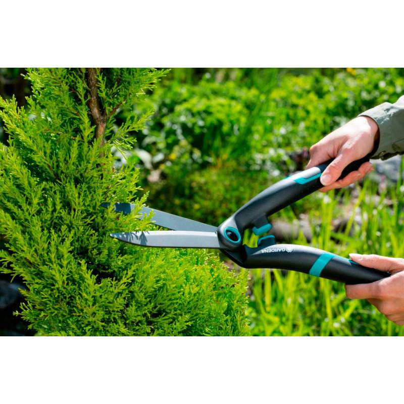 Топ-7 лучших садовых ножниц для стрижки травы: как выбрать, характеристики, отзывы