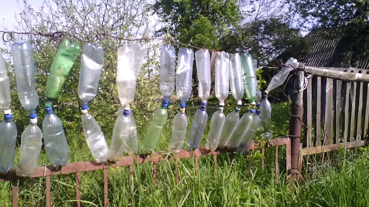 Забор из пластиковых бутылок своими руками: фото и видео разновидностей