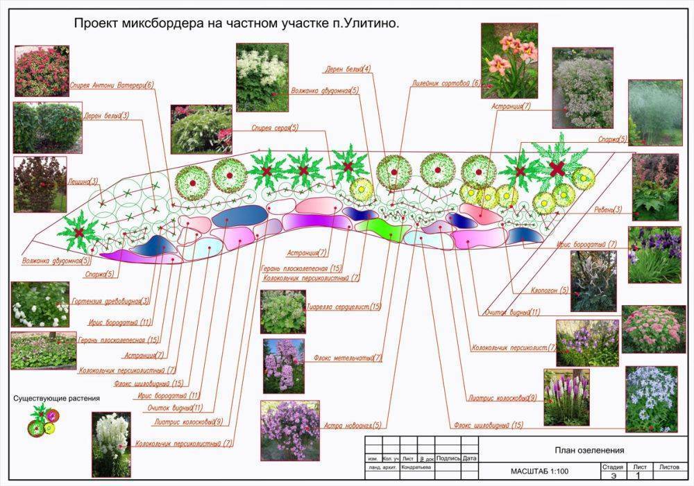 Оформление миксбордера: грамотный подбор растений и схемы его создания